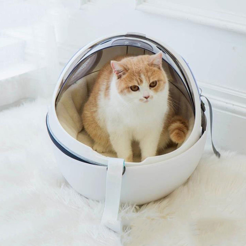 멍냥타임 유니버셜 고양이 강아지 투명 우주 이동장 백팩 가방